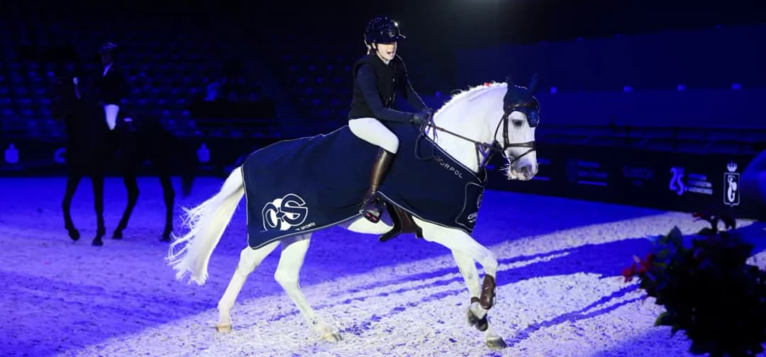 Torwar jeździectwo: CAVALIADA i emocjonujące zawody jeździeckie