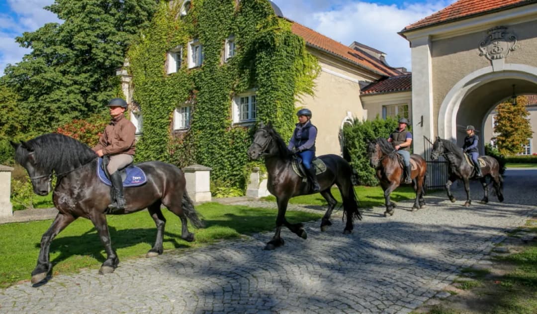 Stadnina koni Leśna Wola - idealne miejsce na rodzinny wypoczynek
