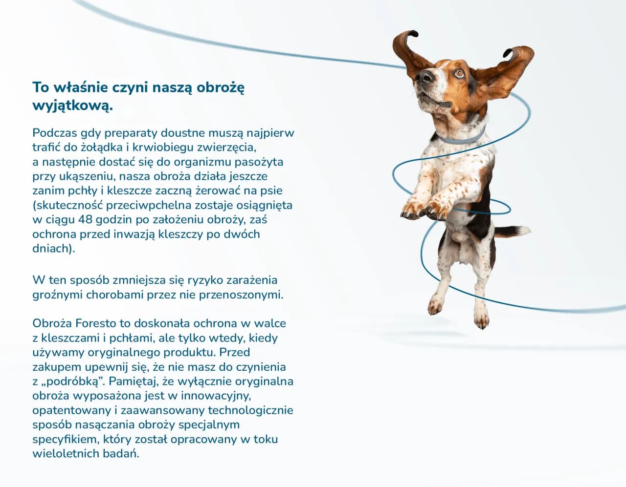 Skuteczne sposoby na kleszcze dla psów – uniknij problemów zdrowotnych