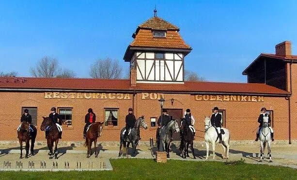 Stadnina koni Nowęcin: najlepsze jazdy konne i obozy jeździeckie