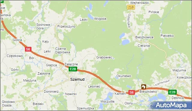 Stadnina koni Grabowiec - najlepsze usługi jeździeckie w regionie